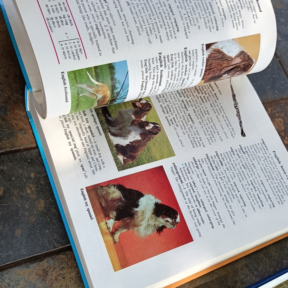 Childcrafts books